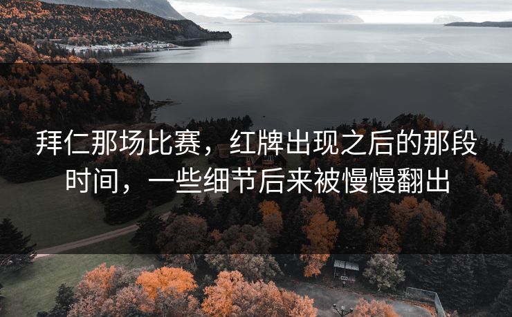 拜仁那场比赛，红牌出现之后的那段时间，一些细节后来被慢慢翻出